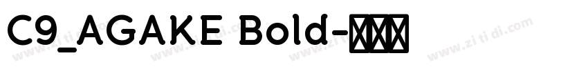 C9_AGAKE Bold字体转换